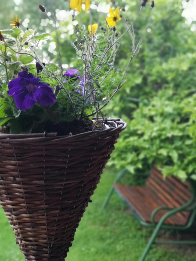 Andela Varazdin